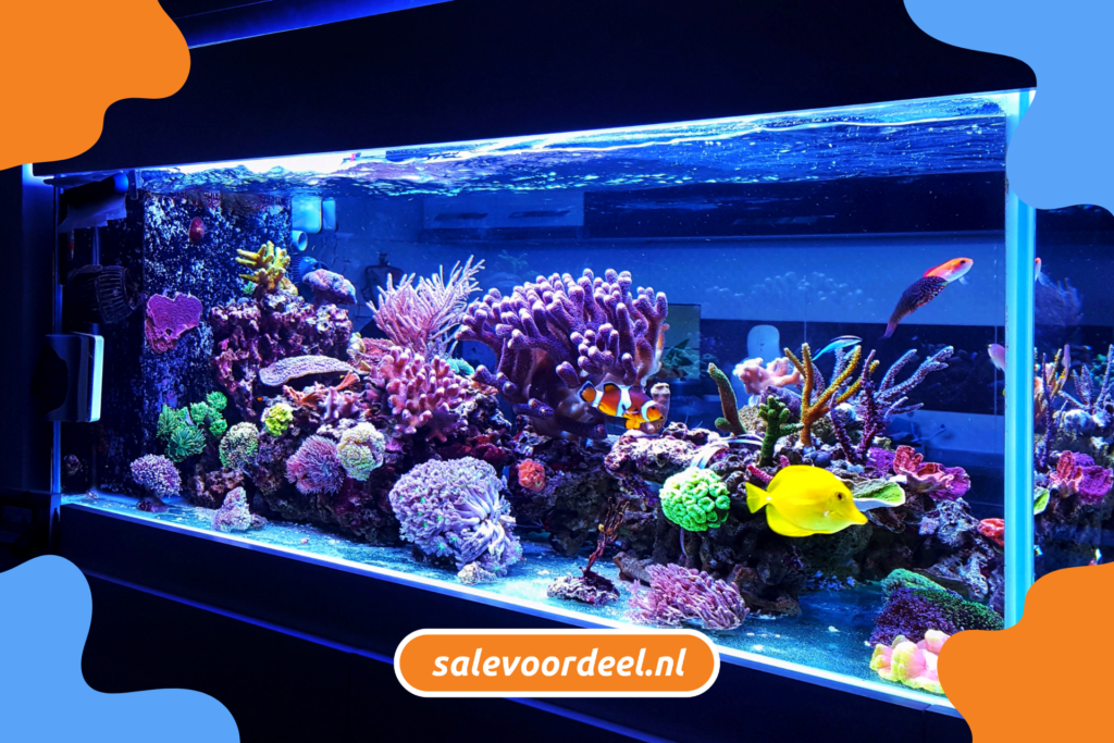 Bespaartips voor je aquarium